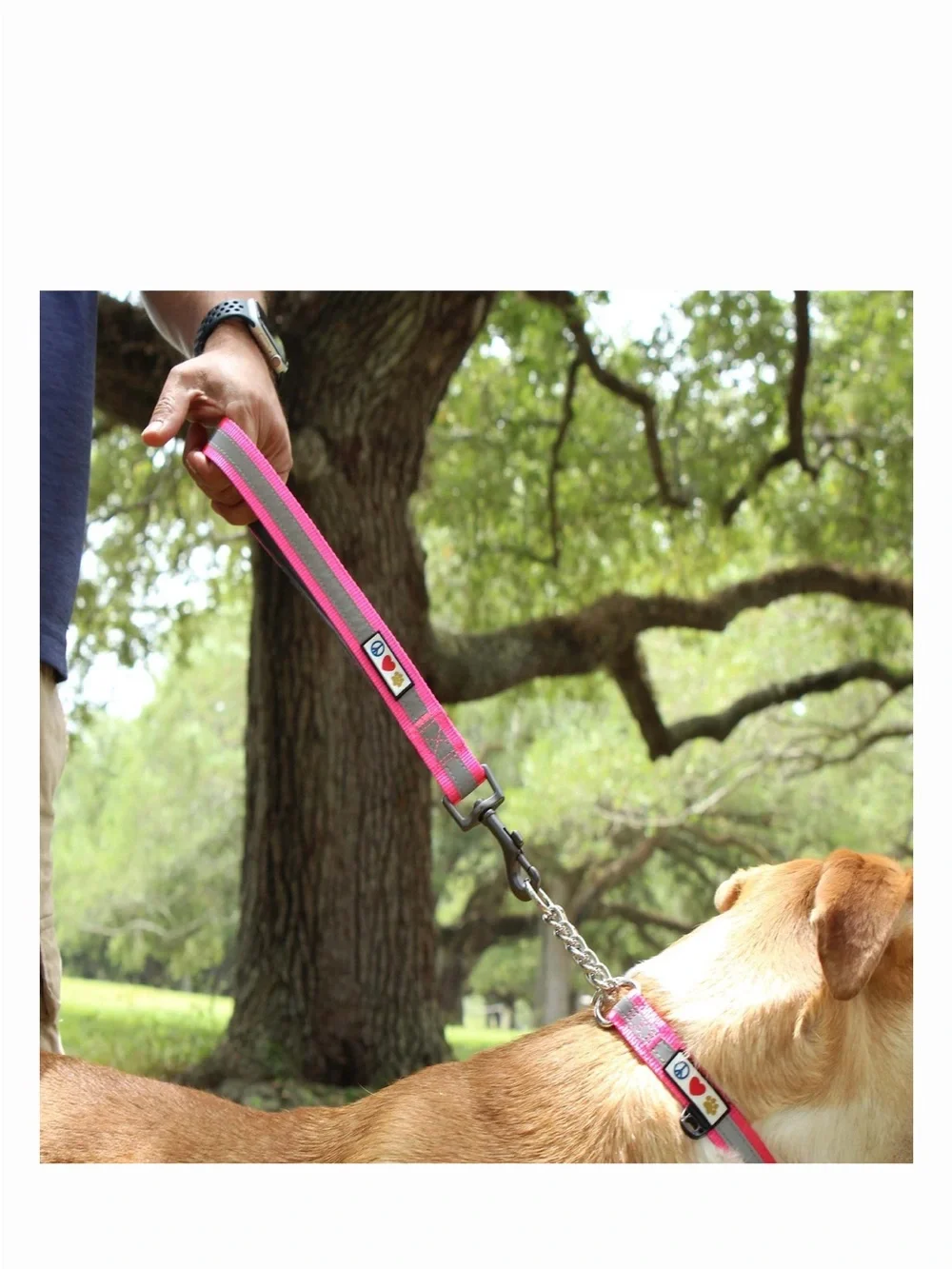 NEW Reflective Padded Short Dog Leash in Camo